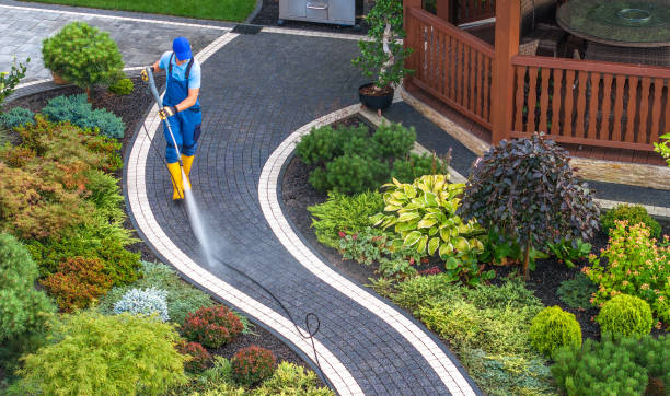 Best Roof Pressure Washing  in Laughlin, NV